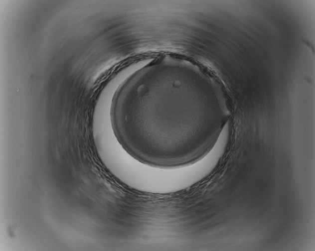 X0000100391064200806271352