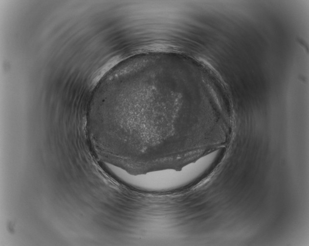 X0000100391065200806271352