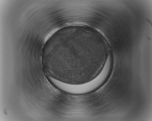 X0000100391066200806271352