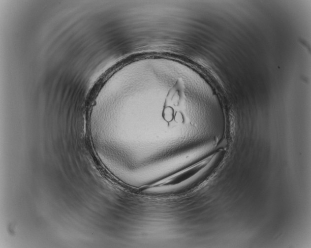 X0000100391069200806271352