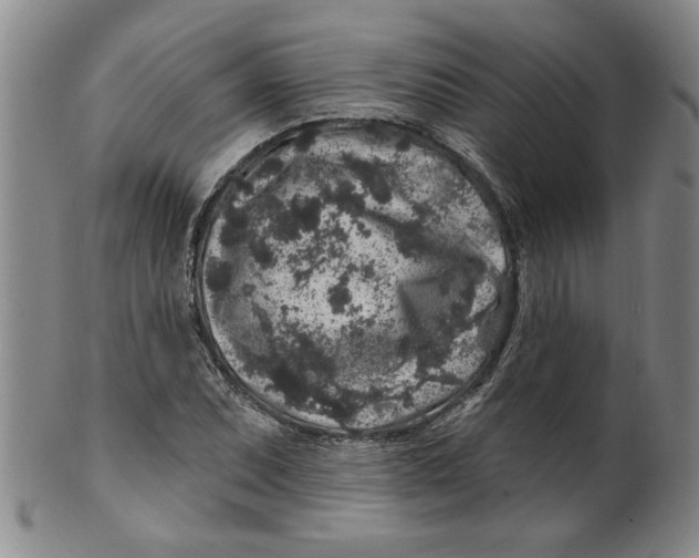 X0000100391071200806271352