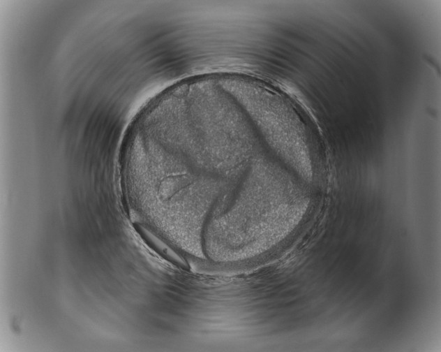 X0000100391072200806271352