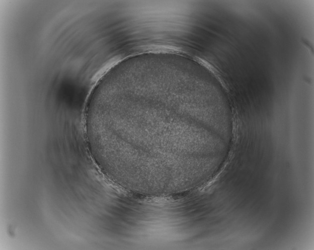 X0000100391074200806271352