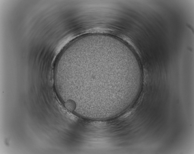 X0000100391075200806271352