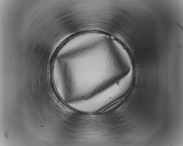 X0000100391076200806271352