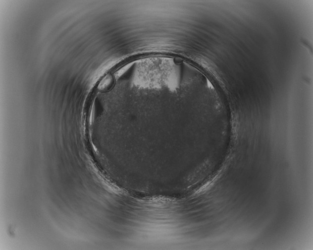 X0000100391077200806271352