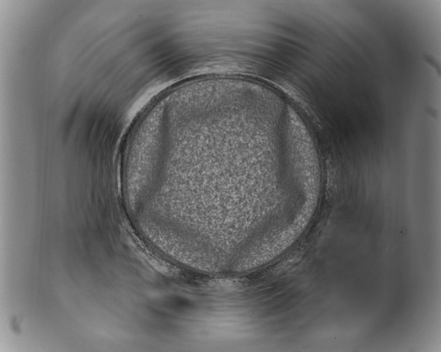 X0000100391078200806271352