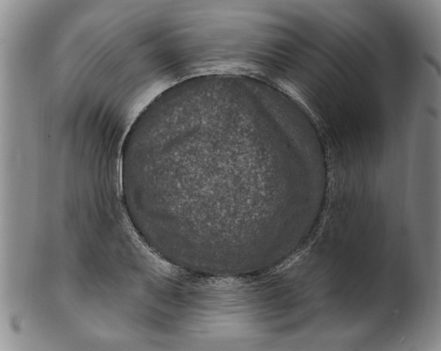 X0000100391079200806271352