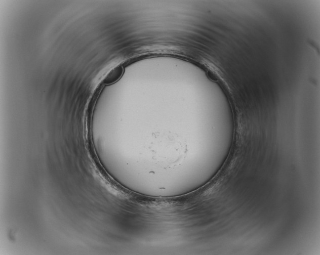 X0000100391082200806271352