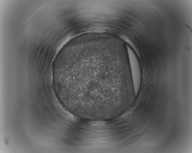 X0000100391083200806271352