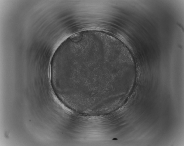 X0000100391084200806271352