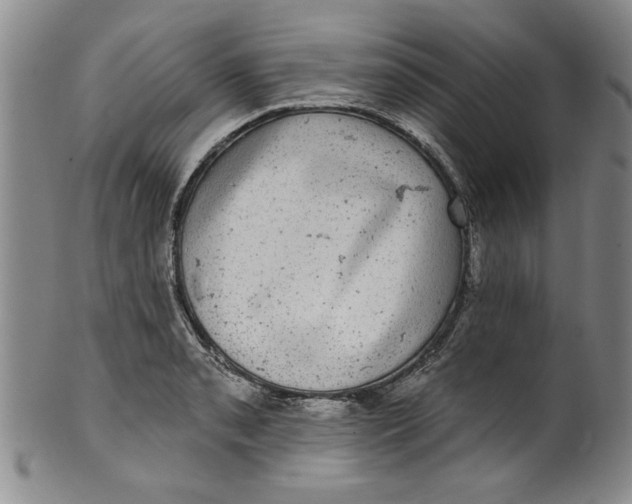 X0000100391085200806271352