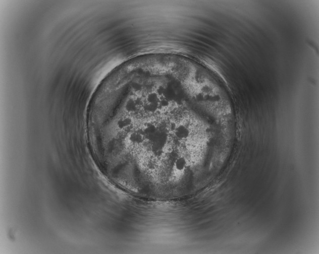 X0000100391087200806271352