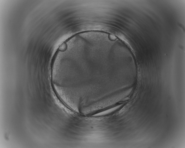 X0000100391088200806271352