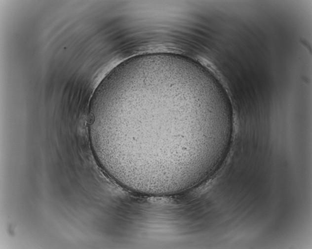 X0000100391089200806271352