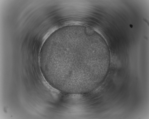 X0000100391090200806271352