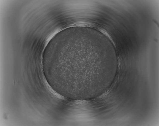 X0000100391091200806271352