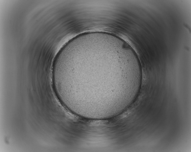 X0000100391093200806271352