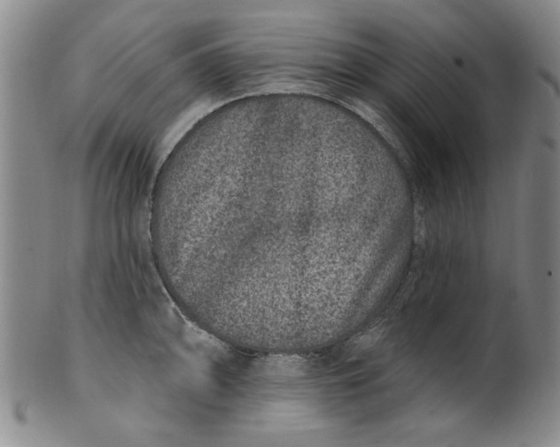 X0000100391094200806271352