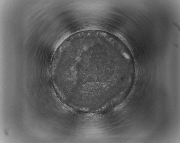 X0000100391097200806271352