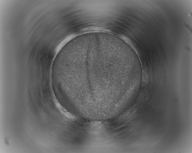 X0000100391098200806271352