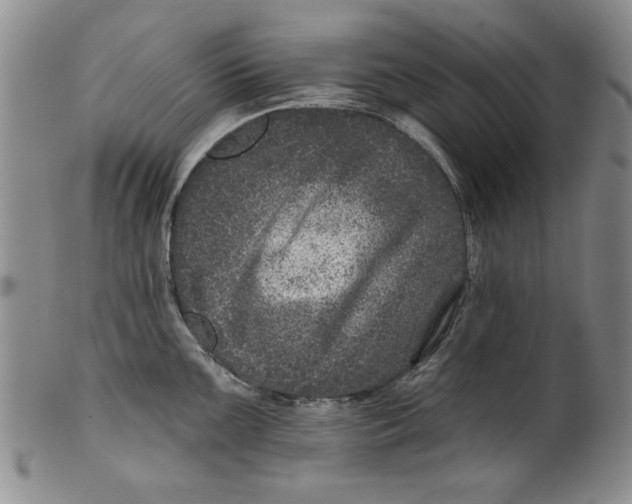 X0000100391099200806271351