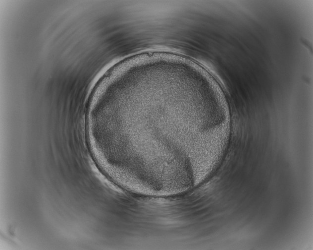 X0000100391100200806271351