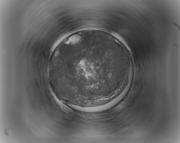 X0000100391101200806271351