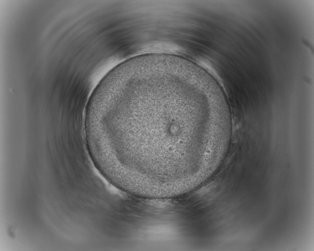 X0000100391103200806271351