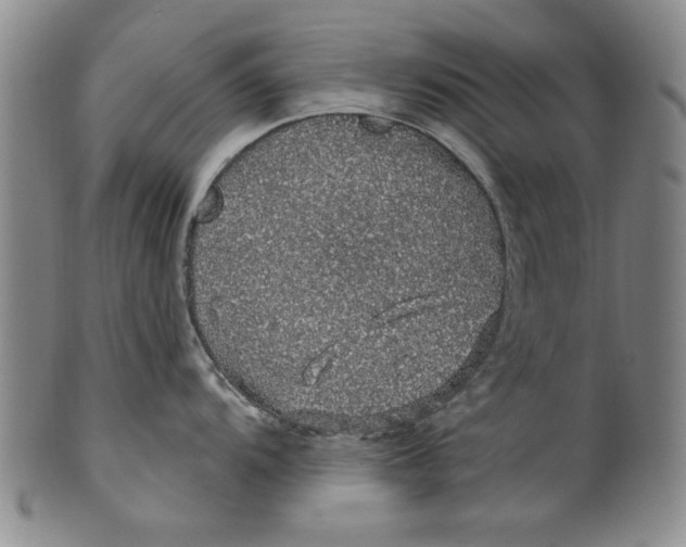 X0000100391104200806271351