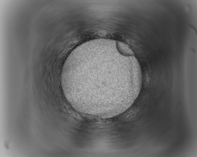 X0000100391105200806271351