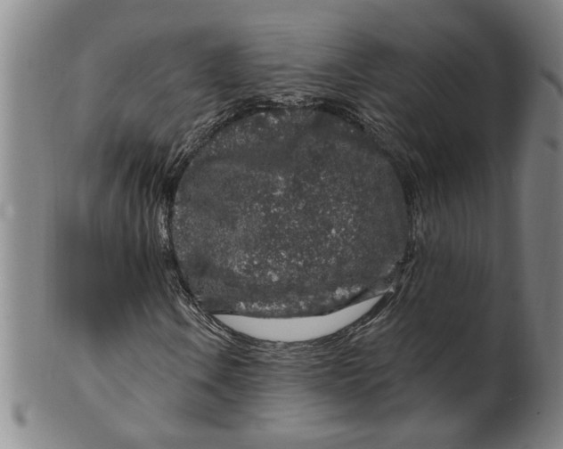 X0000100391106200806271351