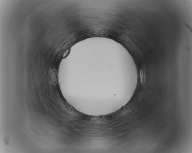 X0000100391107200806271351