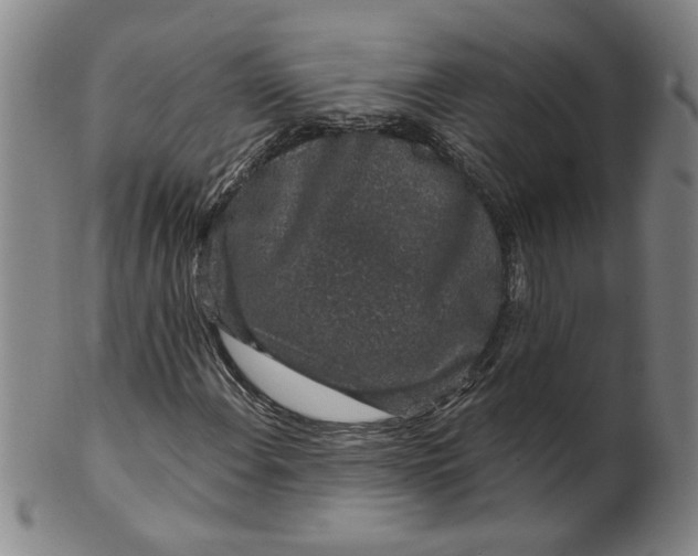 X0000100391108200806271351