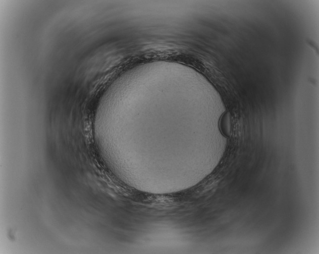 X0000100391109200806271351