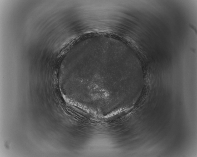 X0000100391110200806271351