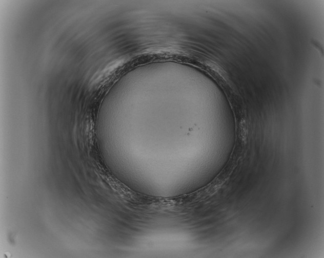 X0000100391111200806271351