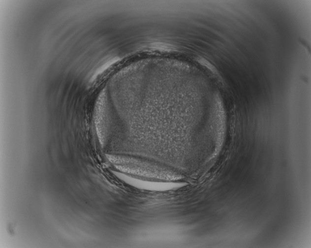 X0000100391112200806271351