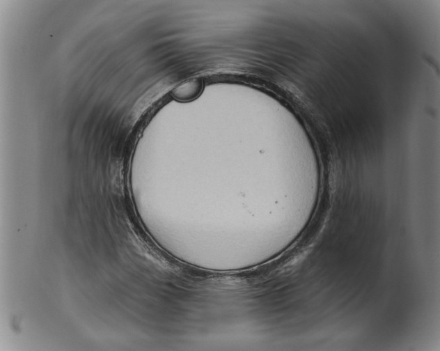 X0000100391113200806271351