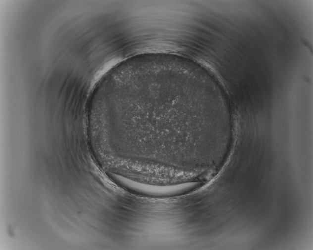 X0000100391114200806271351