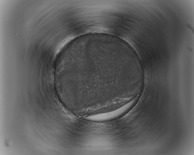 X0000100391115200806271351