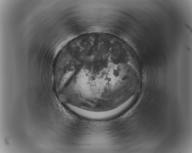 X0000100391117200806271351