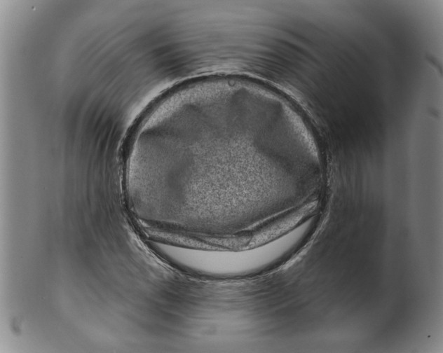 X0000100391118200806271351