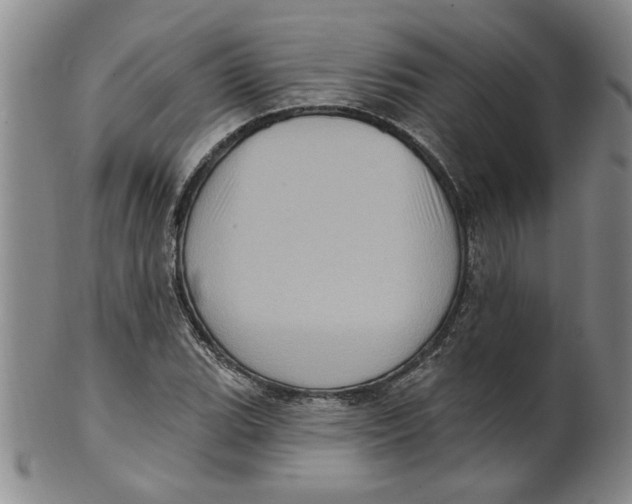 X0000100391119200806271351