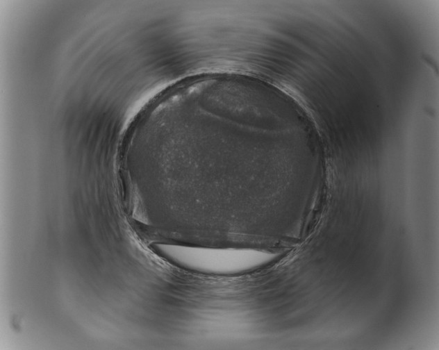 X0000100391120200806271351