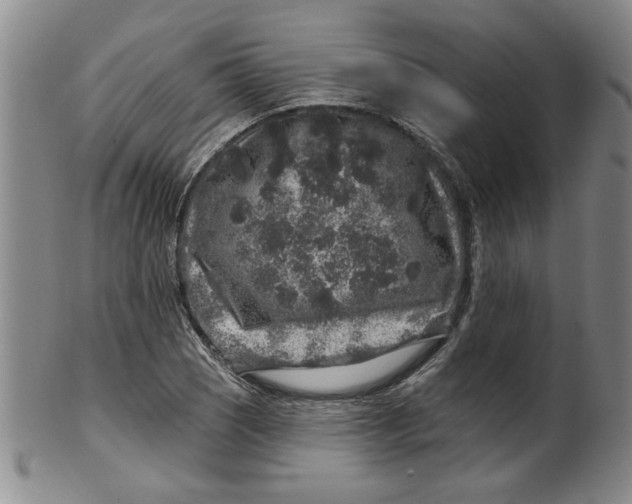 X0000100391121200806271351