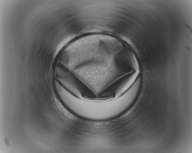 X0000100391122200806271351