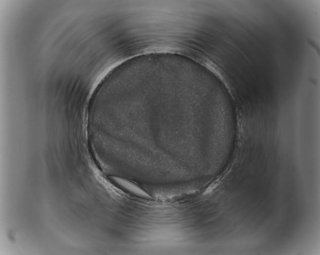 X0000100391124200806271351