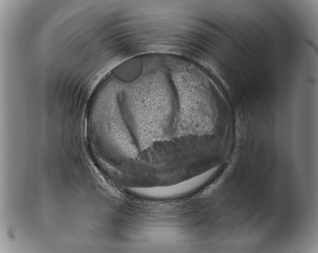 X0000100391125200806271351