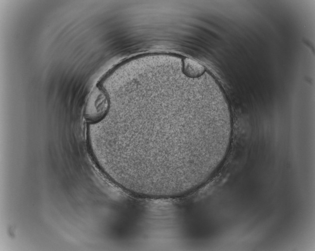 X0000100391126200806271351